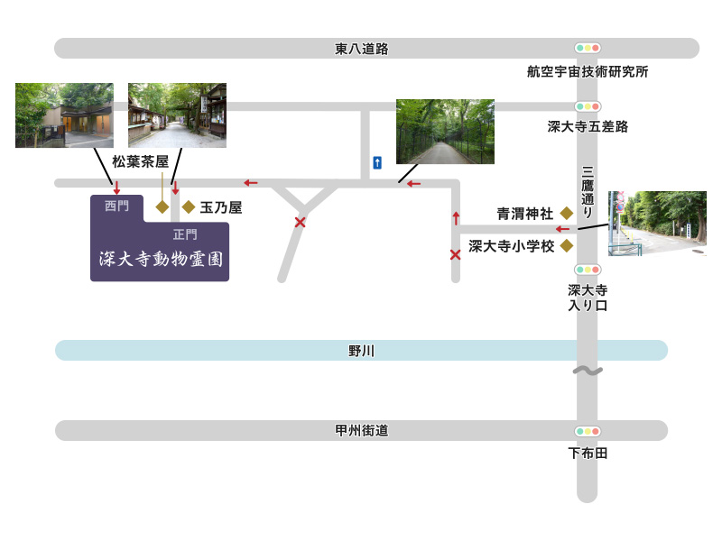 三鷹通りから深大寺動物霊園への道順