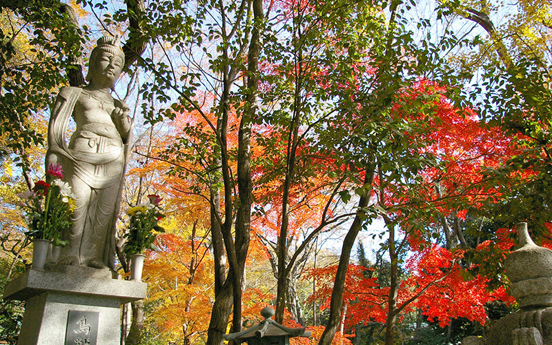 深大寺動物霊園 - 待合室外観