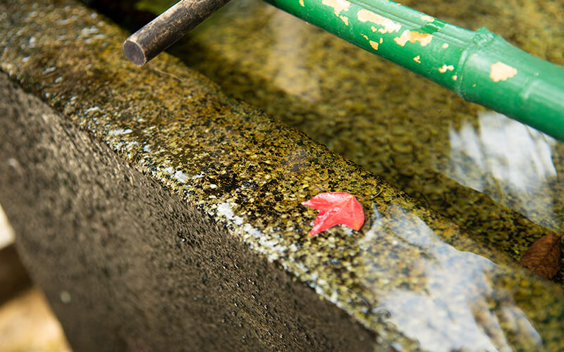 深大寺動物霊園 - 待合室入口