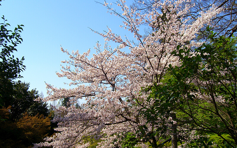 深大寺動物霊園 - 待合室外観