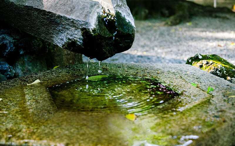 深大寺動物霊園 - 受付