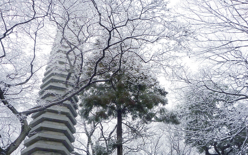 深大寺動物霊園 - 待合室外観