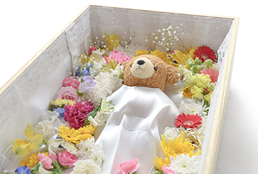 ペット 火葬 棺 に 入れる 花