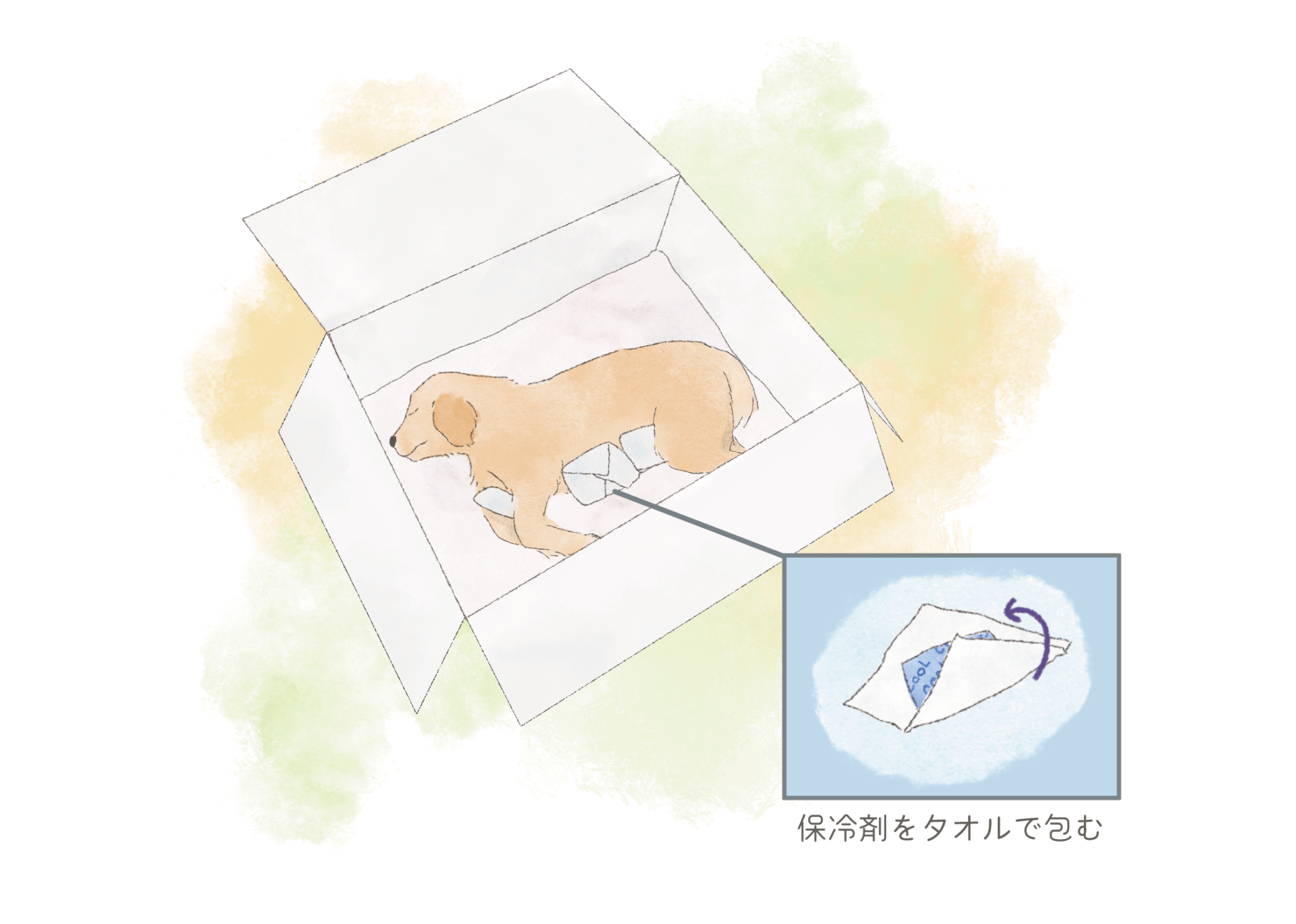 犬　箱　保冷剤　タオル