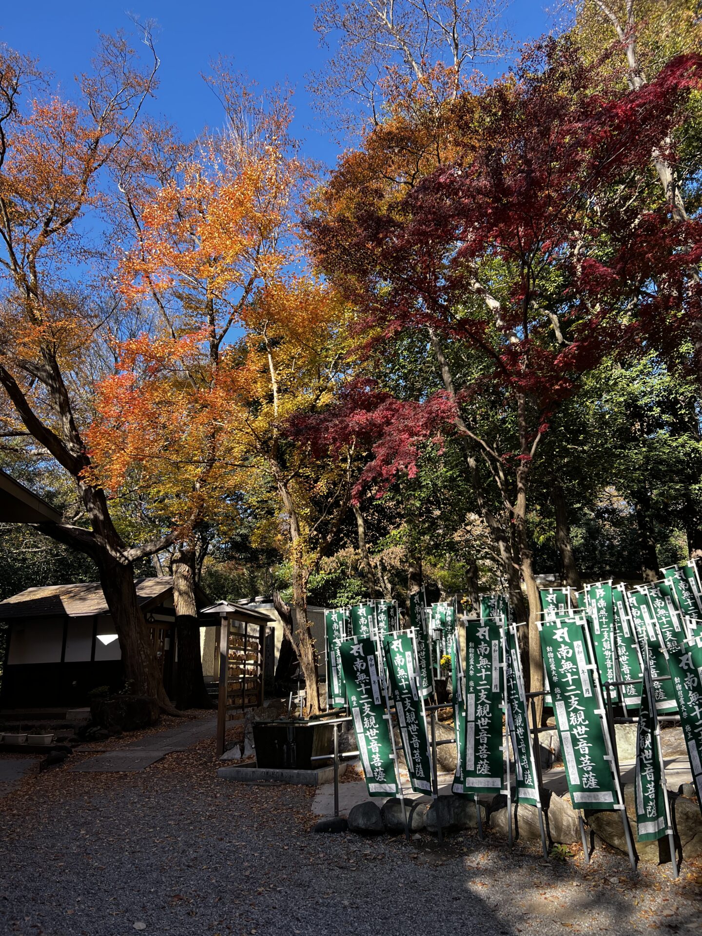 深大寺動物霊園　秋